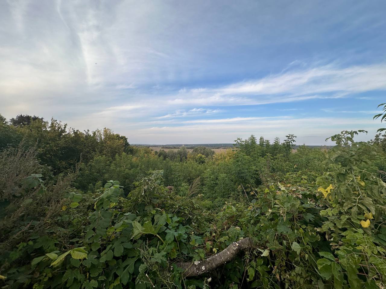 Изображение объявления